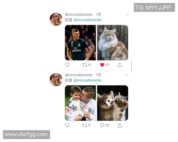 足球球星赛场激情瞬间动态表情全景展现魅力风采